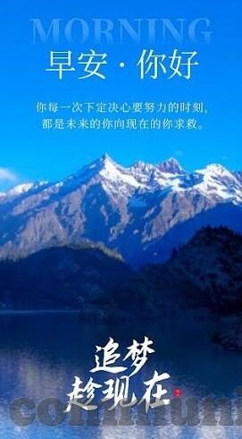 91麻豆成人精品国产免费网站-揭开网络边缘的灰色地带，探秘自控与自由的界线