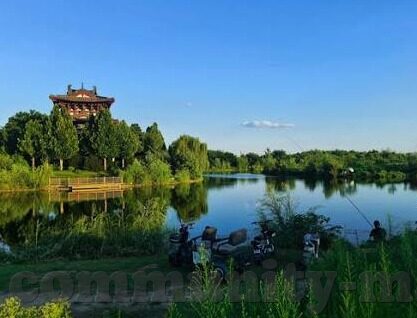 成人av在线视频网站-成人AV在线视频网站，信息时代的隐秘角落