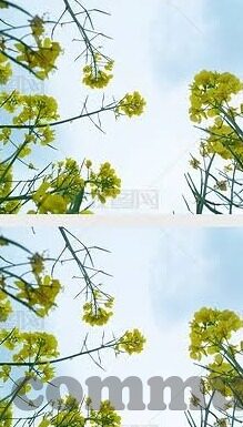 久久麻豆精亚洲av品国产小说-解码跌宕心灵，从文化视角透视国产小说与久久麻豆精亚洲aV作品的风采