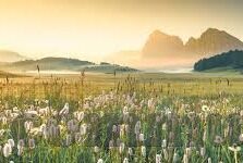 麻豆91av-麻豆91av，网络现象的探讨