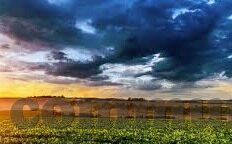 麻豆cm传媒视频在线-探索互联网的多样色彩，关于麻豆cm传媒视频在线的广阔视野