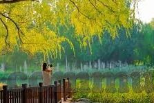 人妻密肉-家庭温馨的秘密，人妻密肉中的情感纽带